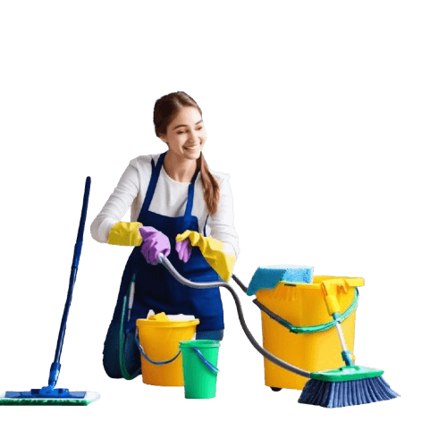 Cleaning Services